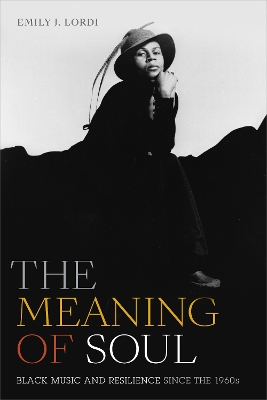 Cover of The Meaning of Soul