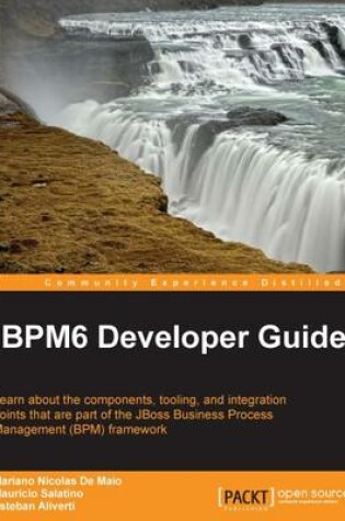 Cover of jBPM6 Developer Guide