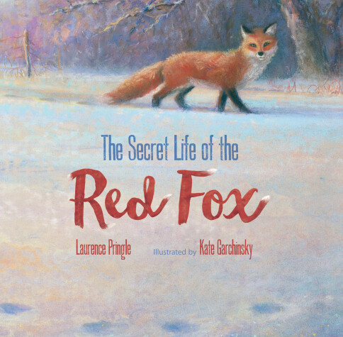 Book cover for Secret Life of the Red Fox
