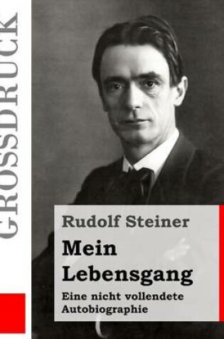 Cover of Mein Lebensgang (Grossdruck)