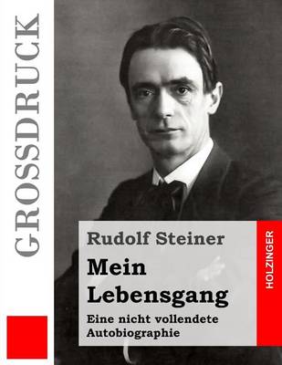 Book cover for Mein Lebensgang (Grossdruck)