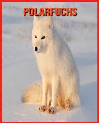 Book cover for Polarfuchs