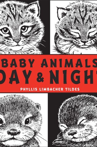 Cover of Baby Animals Day & Night