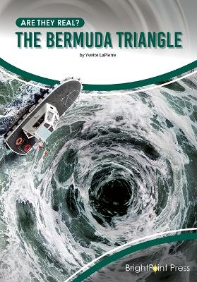 Cover of The Bermuda Triangle