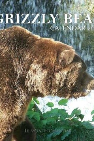 Cover of Grizzly Bear Calendar 2019