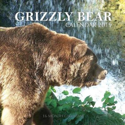 Book cover for Grizzly Bear Calendar 2019