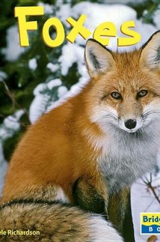 Cover of Foxes