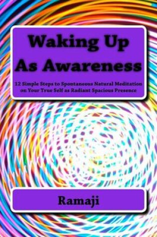 Cover of Waking Up as Awareness