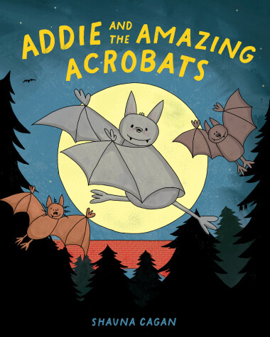 Cover of Addie and the Amazing Acrobats