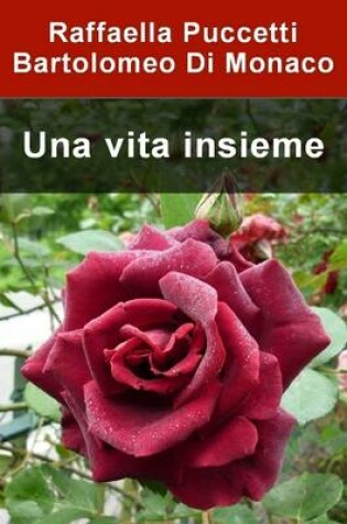 Cover of Una Vita Insieme