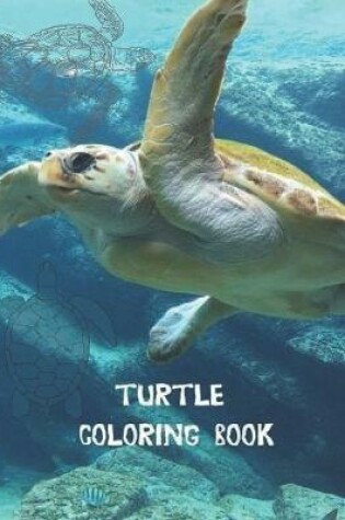 Cover of Turtle Coloring Book