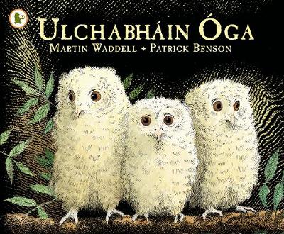 Cover of Ulchabhain Oga (Owl Babies)
