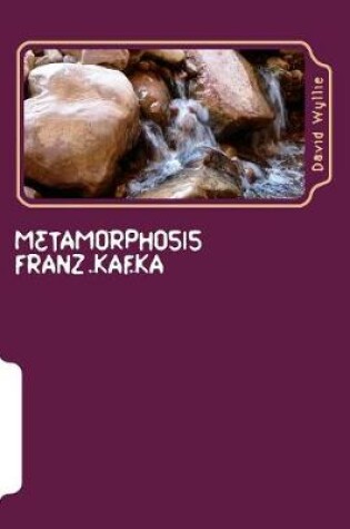 Cover of Metamorphosis Franz Kafka