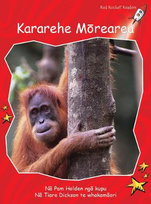 Book cover for Endangered Animals te reo Māori - Kararehe Mōrearea