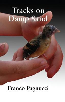 Book cover for Tracks on Damp Sand