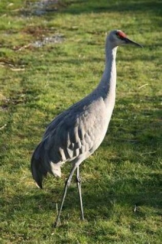 Cover of A Sandhill Crane Journal