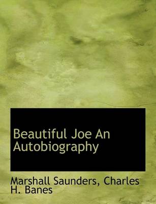 Book cover for Beautiful Joe an Autobiography