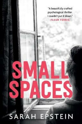 Cover of Small Spaces