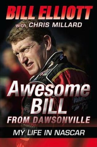 Cover of Awesome Bill from Dawsonville