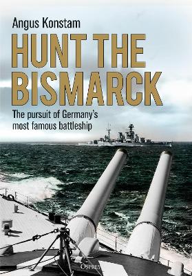 Book cover for Hunt the Bismarck