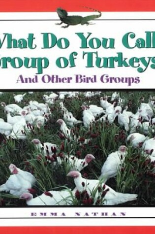 Cover of What Do You Call a Group of Turkeys?