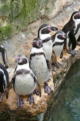 Book cover for Humboldt Penguins Near the Water South America Journal