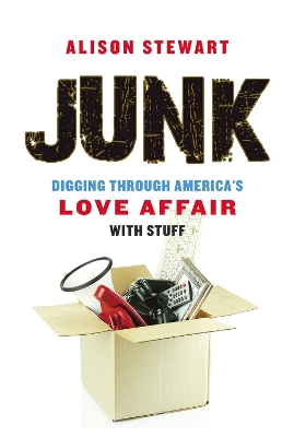 Book cover for Junk