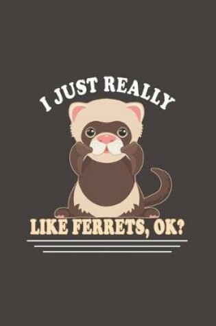 Cover of I Just Really Like Ferrets, Ok?