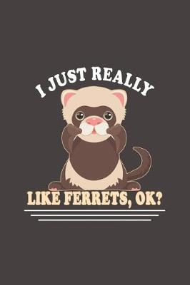 Cover of I Just Really Like Ferrets, Ok?