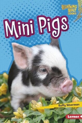 Cover of Mini Pigs