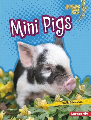 Book cover for Mini Pigs