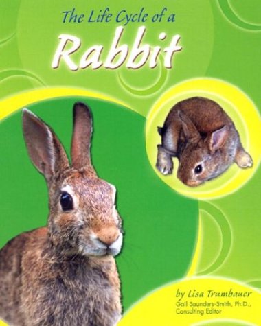 Cover of The Life Cycle of a Rabbit