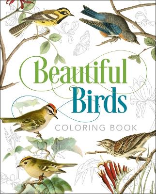 Book cover for Beautiful Birds Coloring Book