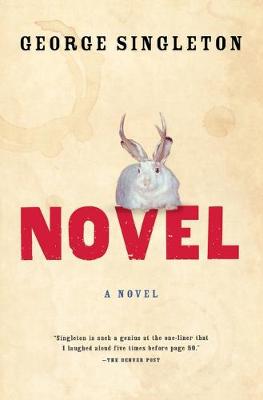 Book cover for Novel