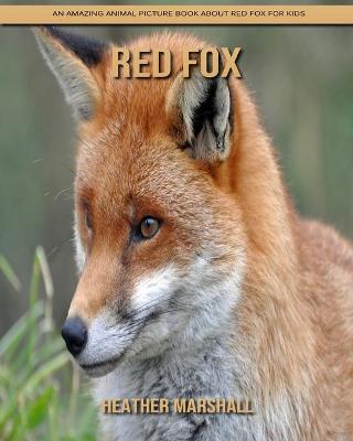 Book cover for Red Fox