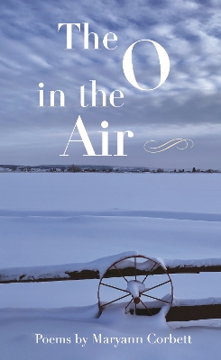 Book cover for The O in the Air