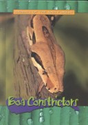 Book cover for Boa Constrictors