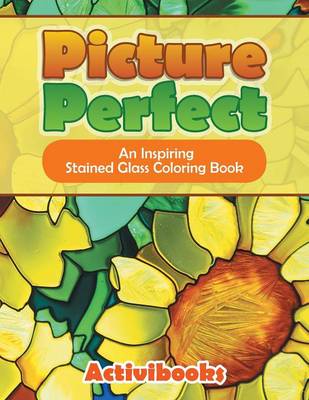 Book cover for Picture Perfect