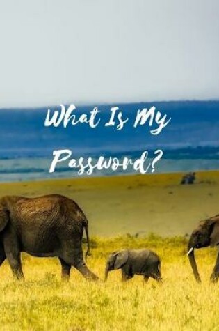 Cover of What Is My Password?