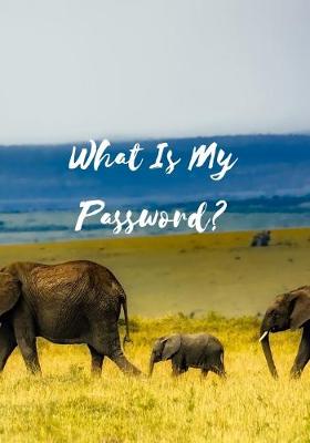Book cover for What Is My Password?