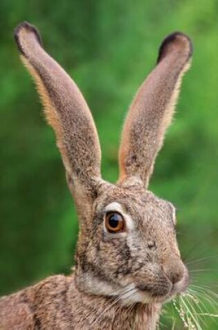 Cover of Scrub Hare Portrait Journal