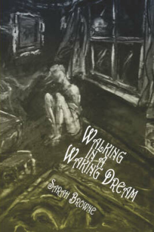Cover of Walking in a Waking Dream