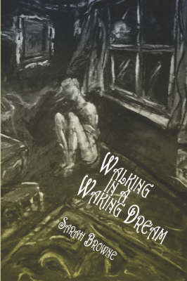 Book cover for Walking in a Waking Dream
