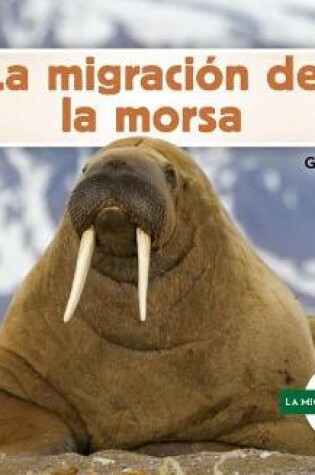 Cover of La Migracion De La Morsa/ Walrus Migration