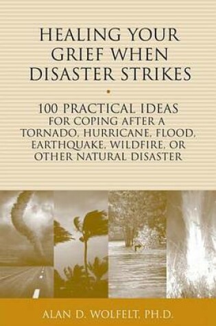 Cover of Healing Your Grief When Disaster Strikes