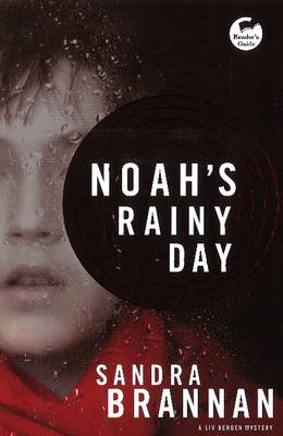 Book cover for Noah's Rainy Day