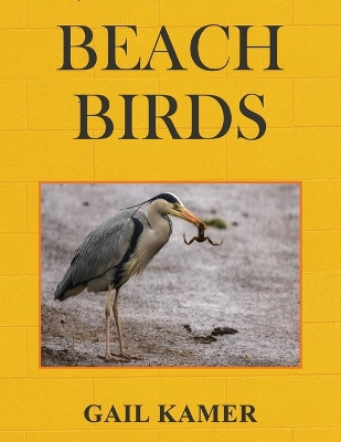 Book cover for Beach Birds