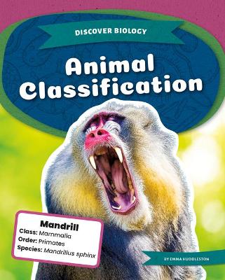 Book cover for Animal Classification
