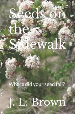 Cover of Seeds on the Sidewalk