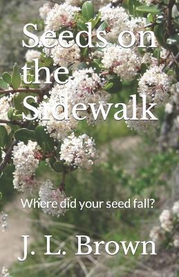 Book cover for Seeds on the Sidewalk